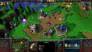 Fortitude(HU) vs Starbuck(ORC) - Warcraft 3: Classic - RN7886