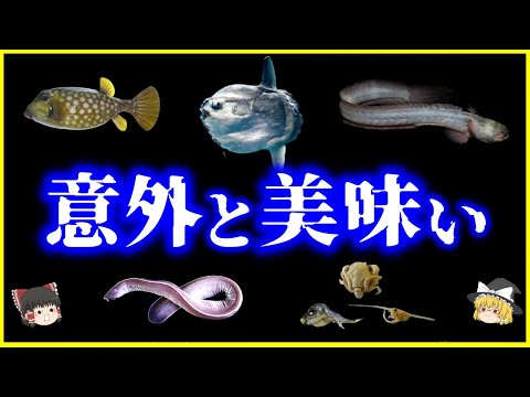 【ゆっくり解説】これも食べられるの⁉︎食べたら「意外と美味い魚」6選を解説