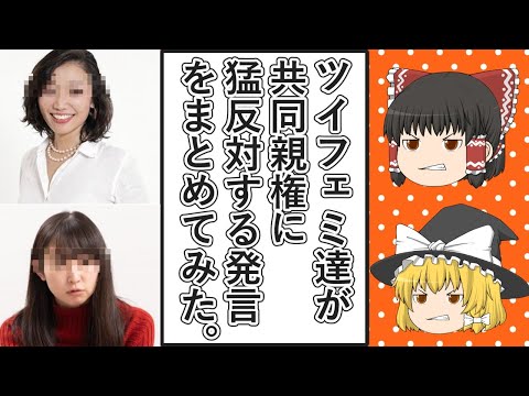 【ゆっくり動画解説】ツイフェミ達の共同親権に猛反対する発言をまとめてみた