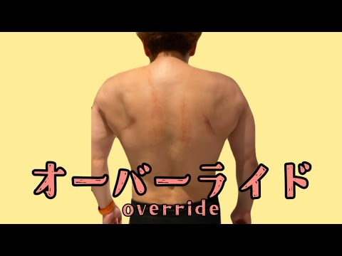 (MAD)オーバーライド×セイキン＆ヒカキン