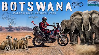 Scary Ride காட்டு பாதையில் African Elephants | World Ride | Africa Day 16 | @CherryVlogsCV