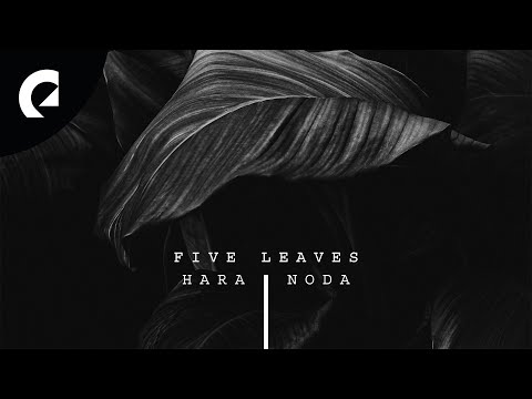 Hara Noda - Five Leaves (Royalty Free Jazz)