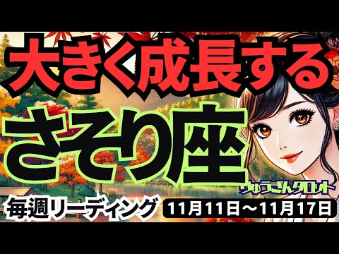 【蠍座】♏️2024年11月11日の週♏️大きく成長する時。失敗も糧になり、着実に道を進む。タロット占い。