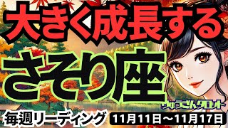 【蠍座】♏️2024年11月11日の週♏️大きく成長する時。失敗も糧になり、着実に道を進む。タロット占い。