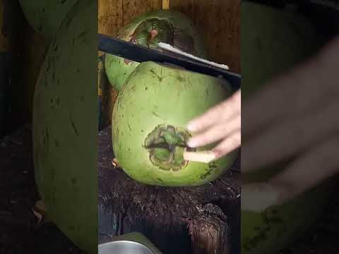 women cut coconut to have a refreshing BUKO juice #cuttingskils #youtubeshorts @GatchieJr33