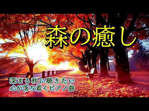 【森の癒し】 深まる秋に聴きたい 心が落ち着くピアノ曲