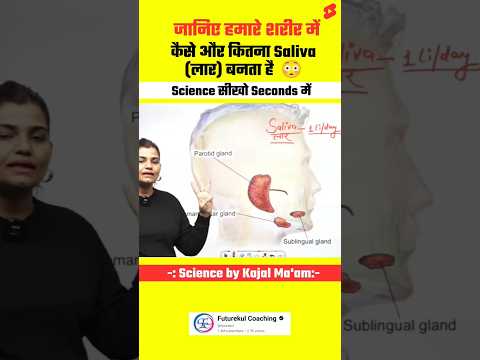 Saliva लार कैसे और कितना बनता है हमारी बॉडी में? By kajal Sihag mam #biology #science #facts #shorts