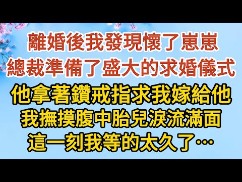 《隱藏的離婚秘密》第04集： 離婚後我發現懷了崽崽，總裁準備了盛大的求婚儀式，他拿著鑽戒指求我嫁給他，我撫摸腹中胎兒淚流滿面，這一刻我等的太久了……#戀愛#婚姻#情感 #愛情#甜寵#故事#小說#霸總