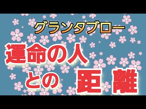 いつ出会う⁉️運命💓の人との距離🔔【グランタブロー】辛口あります😱