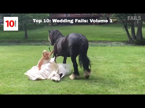 Top 10 WEDDING FAILS; Volume 1: ( LOOK AT THESE DING DONGS! )