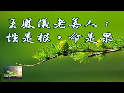 王鳳儀老善人言行錄：性是根，命是果【閱善】