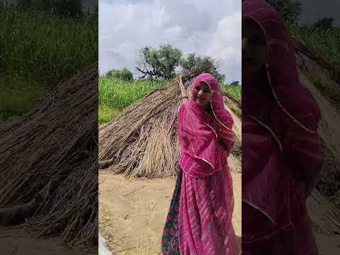 Village life || Nomadic Indian Family #shorts #villagelife