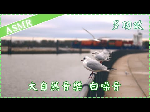 【多功效音樂 大自然 白噪音】海浪與海鷗聲 幫助入睡 睡眠放鬆 減輕焦慮感 專注力增加 學習集中  作業用、休息用  ASMR  Soothing Sea Wave with Seagulls