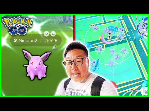 Nidoran Spotlight Hour in Adelaide, Australia, is INSANE! - Pokemon GO