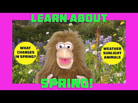 LEARN ABOUT SPRING SEASON: What happens in spring? Weather, seasons, animals for kids