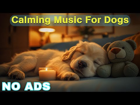 12 Hours of Healing Dog Music 🐶 Soothing Music for Deep Relaxation 🐕 Anti - Anxiety Videos No Ads