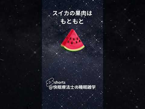 快眠療法士の睡眠雑学#shorts