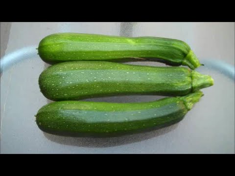 How to Grow Courgettes