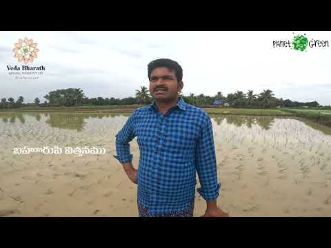 Preparation Process Of Brahmastram Powered By PLANET GREEN-VEDA BHARATH