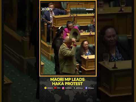 Maori MP Leads Haka Protest, Jolts New Zealand Parliament | WION Shorts