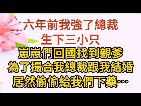 《三崽炸翻天》第02集：六年前我強了總裁，生下三小只，崽崽們回國找到親爹，為了撮合我總裁跟我結婚，居然偷偷給我們下藥……#戀愛#婚姻#情感 #愛情#甜寵#故事#小說#霸總