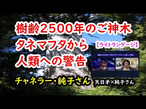 樹齢2500年のご神木タネマフタから人類への警告