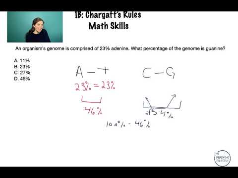 1B-1 Chargaff's Rules & Math on the MCAT