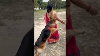 Champ ne maa pr attack kiya🐶😂🥺 #champ #doglover #germanshepherd #reels #shortvideo #dog #love