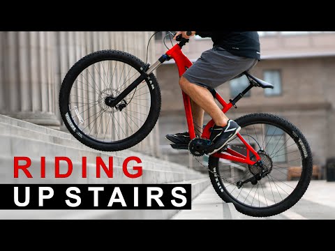 This Week I Learned to Cycle Up Stairs