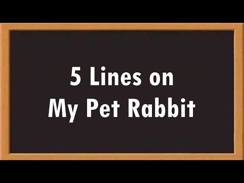 My Pet Rabbit 5 Lines Essay in English || Essay Writing