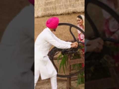 new love status video 🌹🌹punjabi couple 🥰🥰🥰romantic💏💏 status😍😍 #treanding #viral #shorts