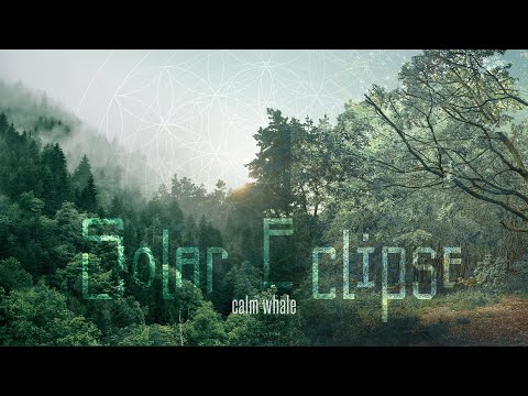 Solar Eclipse Meditation ☾*✲ Calm Whale's Ambient Sound Bath