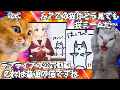 猫ミームとコラボし出すラブライブ公式【猫ミーム】 #猫マニ #猫ミーム