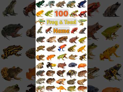 100 Frog & Toad Name : Part- 04 #frogspecies #frogs #frognames #frog #toadnames #frogandtoad