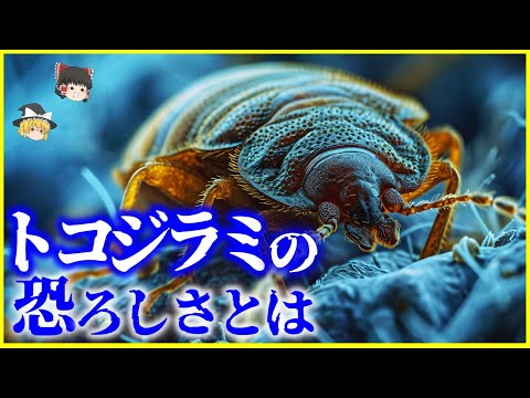 【ゆっくり解説】またの名を南京虫…「トコジラミ」の恐ろしさとは？を解説/日本人と南京虫の戦いの歴史と殺虫剤が効かないスーパートコジラミ