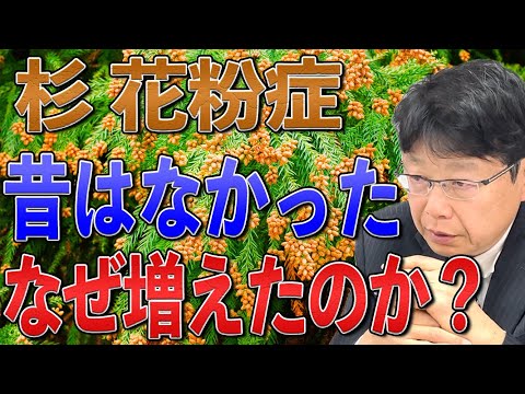 杉花粉症 昔はなかったのになぜ増えたのか？