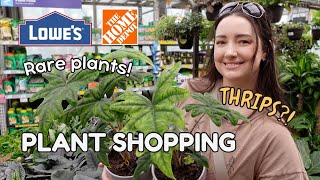 Big Box Plant Shopping! Rare Plants, Thrips 😳 & a Haul! 🌿