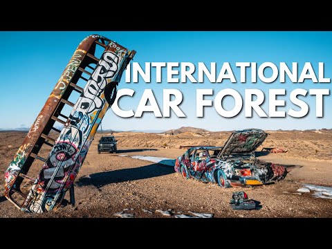 Exploring the International Car Forest in Nevada