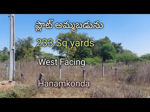 PLOT FOR SALE  // ప్లాట్ అమ్మబడును // Hasanparthi  // Hanamkonda  // WARANGAL