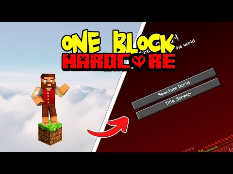 Minecraft Skyblock One Block HARDCORE [FINALE]!