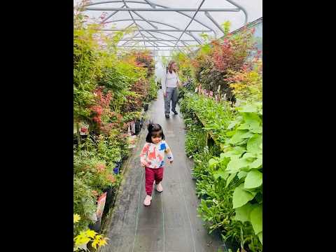 #greenhouse #moments #babymemories #happybabymoments #explore