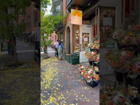 Dreamy Boston brick-lined streets and golden leaves!🍂 #newengland #boston