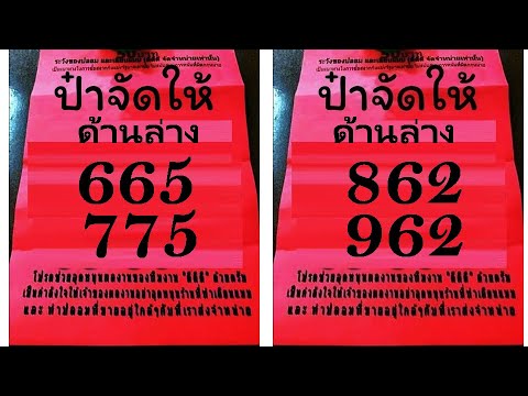 รวมเลขเด็ดงวด 1 พฤศจิกายน 2567 - แนวทางลุ้นโชค