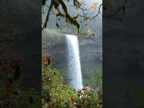 Sliver Falls State Park #waterfall #nature #oregon #relax #travel #vacation  #youtubeshorts