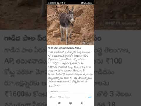 donkey business #Shorts #Short #Viral #TeluguAUTOnews #Telugu #reels