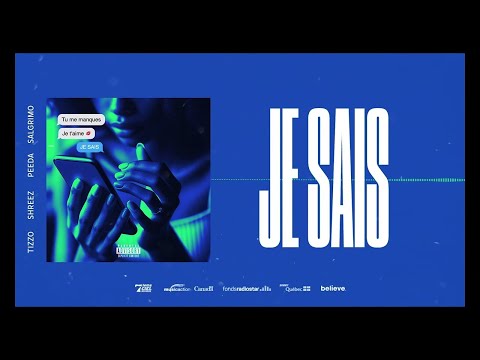 Tizzo x Shreez x Peeda x Salgrimo - Je Sais // Visualizer officiel