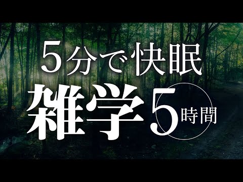 【睡眠導入】５分で快眠雑学5時間【合成音声】