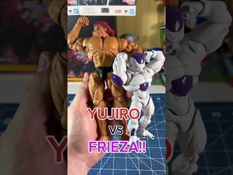 FRIEZA VS YUJIRO HANMA BODYBUILDING EDITION! #dbz #baki #shfiguarts #stormcollectibles #bodybuilding