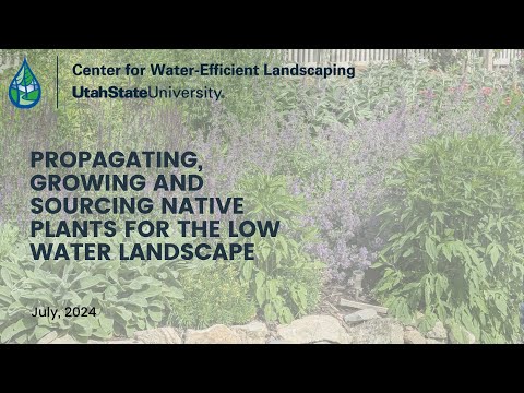 Propagating, Growing and Sourcing Native Plants for Low Water Landscapes