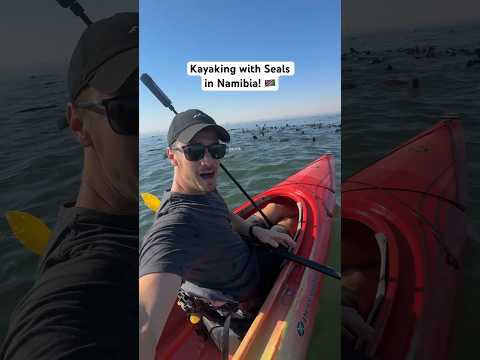 Kayaking with 10000 seals in Namibia 🇳🇦!